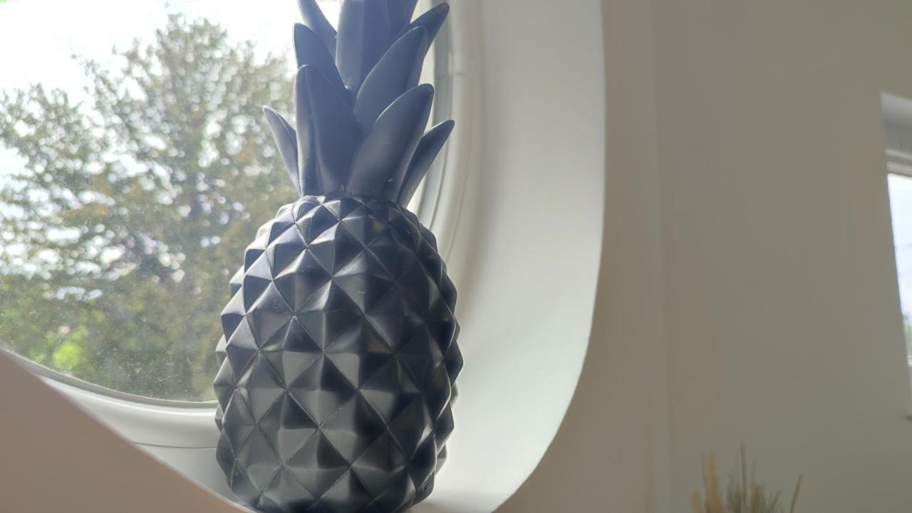 Studio Chill Chez Jules & Fiona ドラギニャン エクステリア 写真